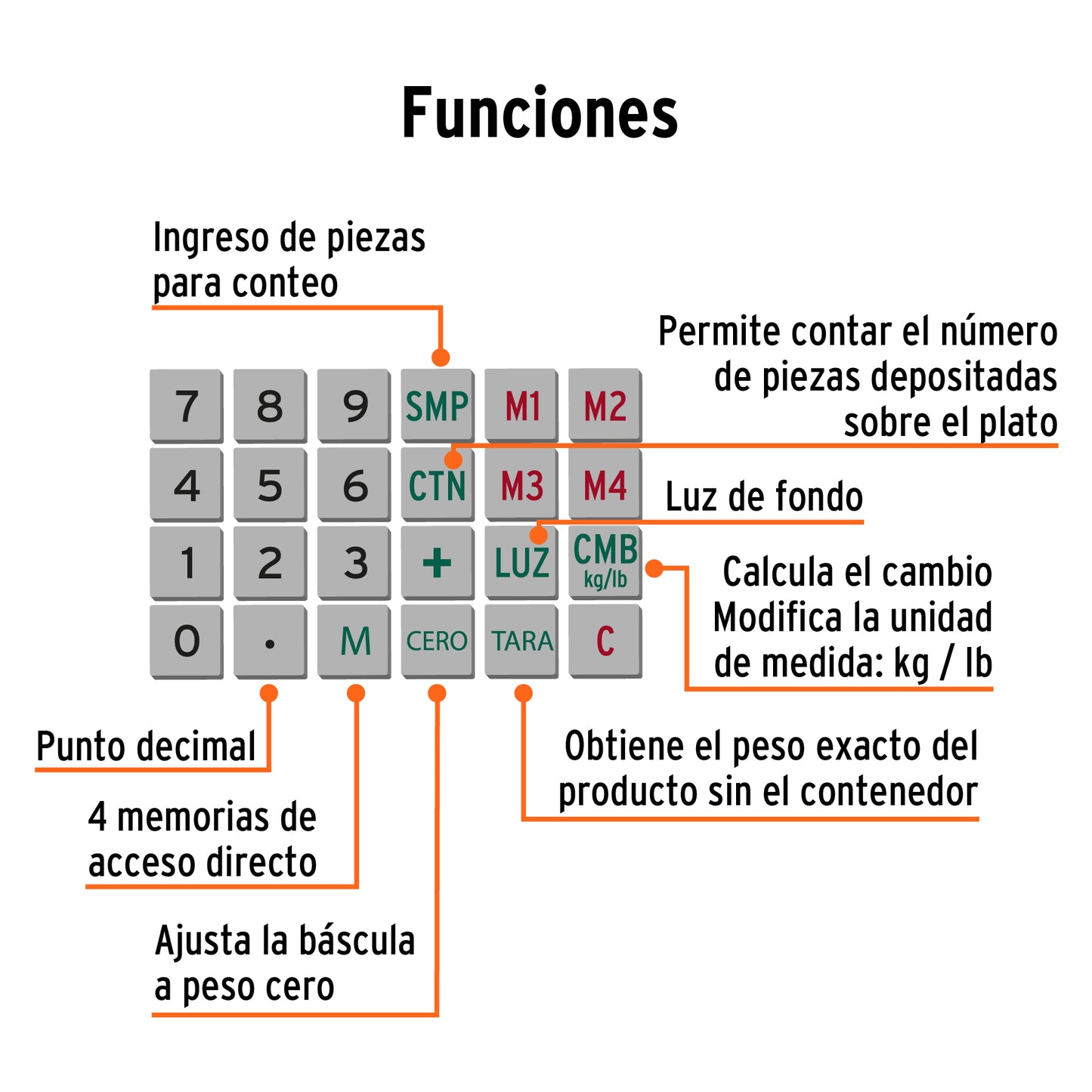 BASE-40T Báscula electrónica multifunciones con torreta, 40 kg