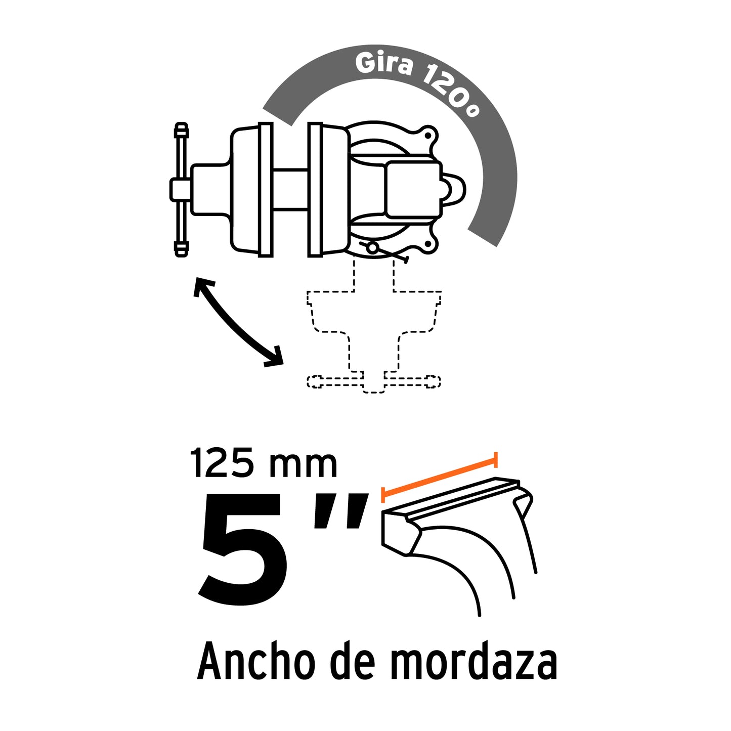 TA-5-L Prensa de banco tipo Europeo, hierro nodular, 5"