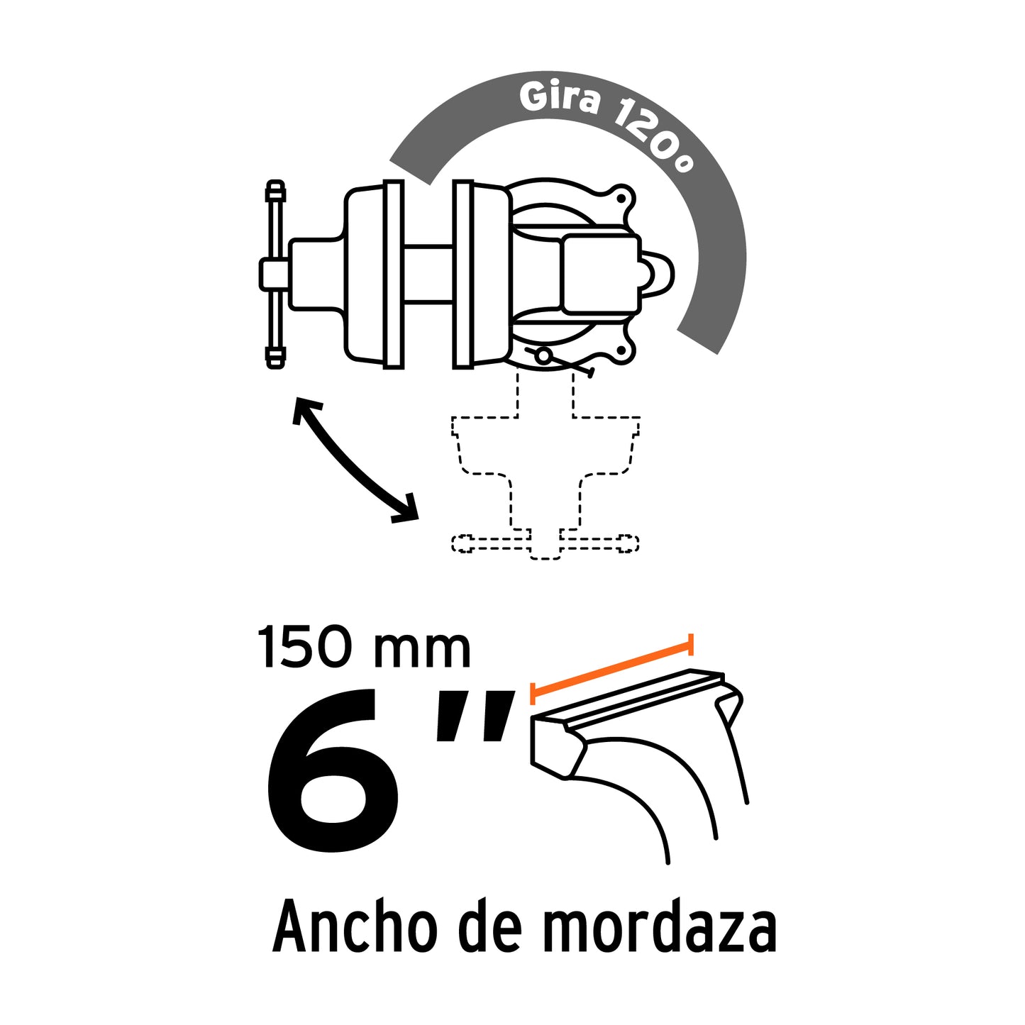 TA-6-L Prensa de banco tipo Europeo, hierro nodular, 6"