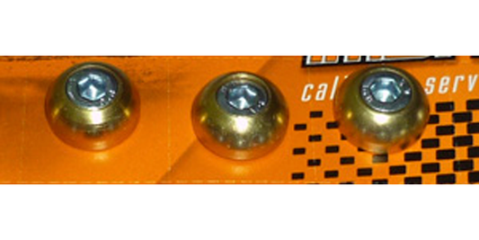 Boton porta placa lujo dorado (20 unds)