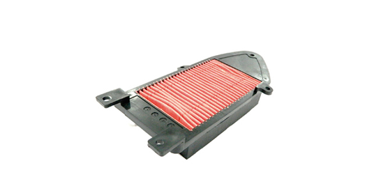 Filtro aire agility 150