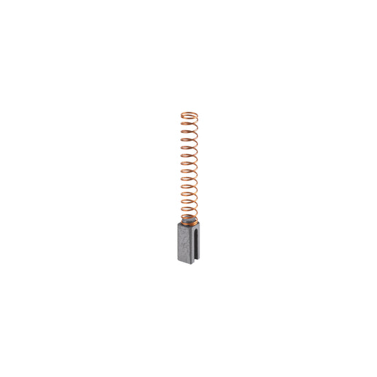 CARB-LIOR-1/4A2 Carbones de repuesto para lijadora, LIOR-1/4A2