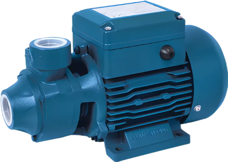 EKM70 Bomba periférica de agua 3/4 HP EKM70